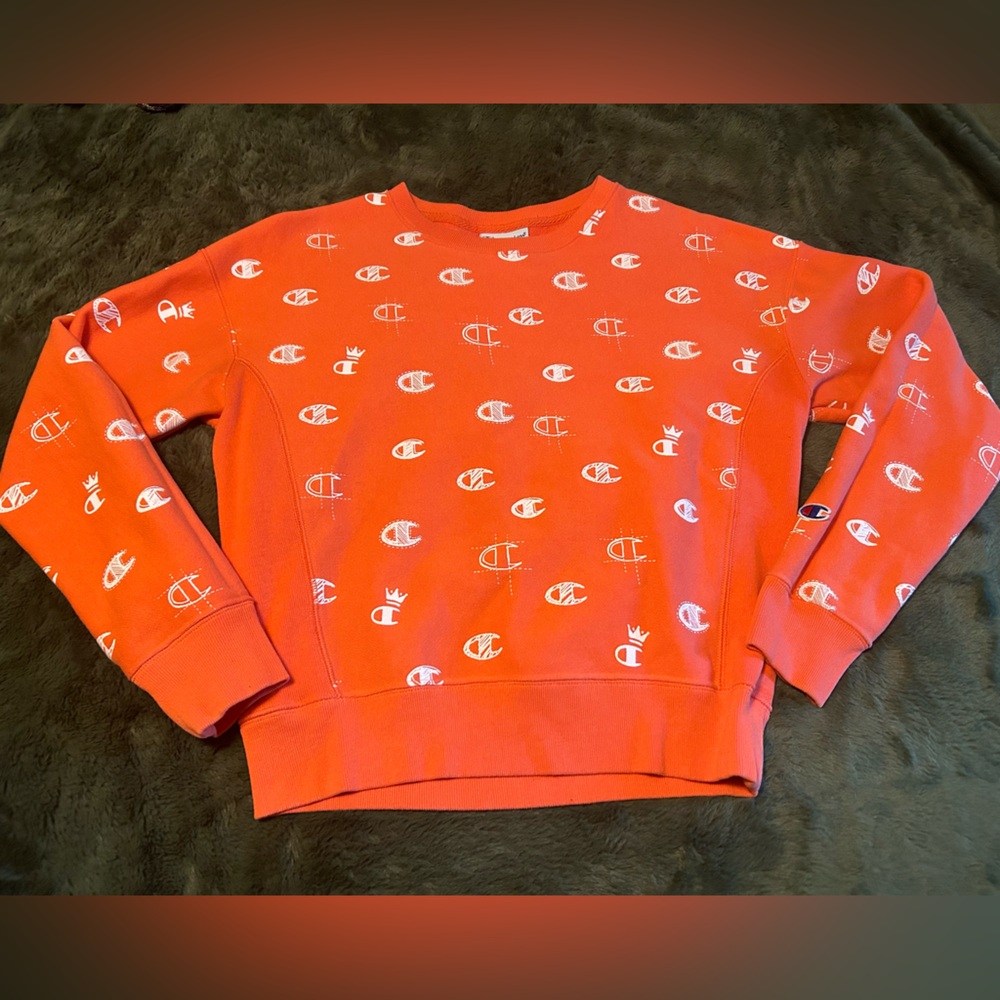 Champion sweater